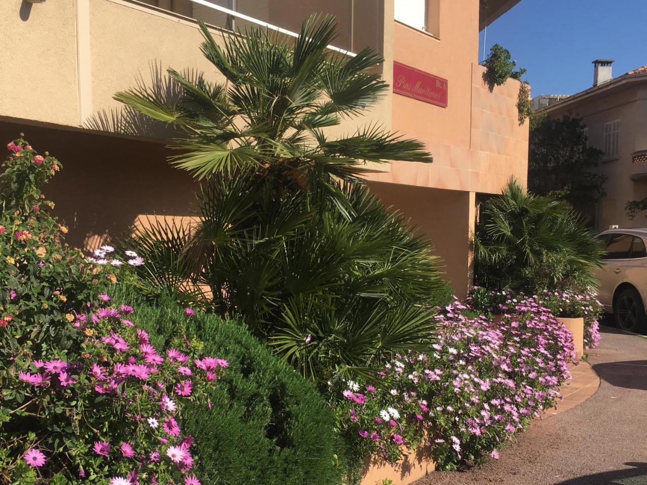 Les Pins Maritimes Διαμέρισμα Fréjus Εξωτερικό φωτογραφία